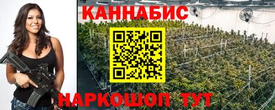 гидра Заводоуковск