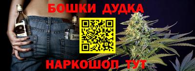 гидра Заводоуковск
