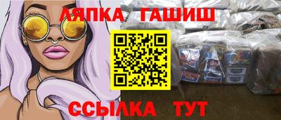 гидра Заводоуковск